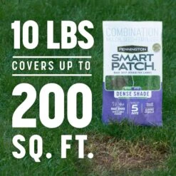 Pennington Smart Patch Mixed Dense Shade Seed/Fertilizer/Mulch Repair Kit 10 Lb -Roundup Hub f0f228e5 c0f9 4600 8e82 c2990e07cba8