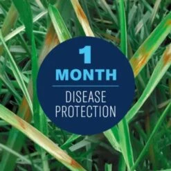 BioAdvanced Concentrated Liquid Fungicide 32 Oz -Roundup Hub f112fe26 a2ff 4bd7 b135 0121673c5d04