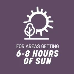 Pennington Annual Ryegrass Full Sun/Light Shade Grass Seed 50 Lb 19 Pennington Annual Ryegrass Full Sun/Light Shade Grass Seed 50 Lb -Roundup Hub f4229acf 7ae6 499b 9631 d82228f2534f