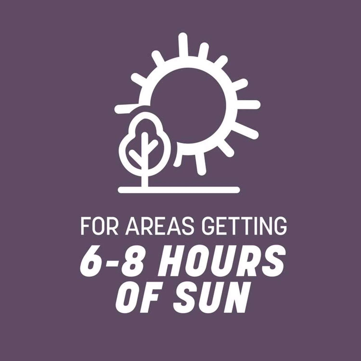 Pennington Annual Ryegrass Full Sun/Light Shade Grass Seed 50 Lb 10 Pennington Annual Ryegrass Full Sun/Light Shade Grass Seed 50 Lb - Image 10