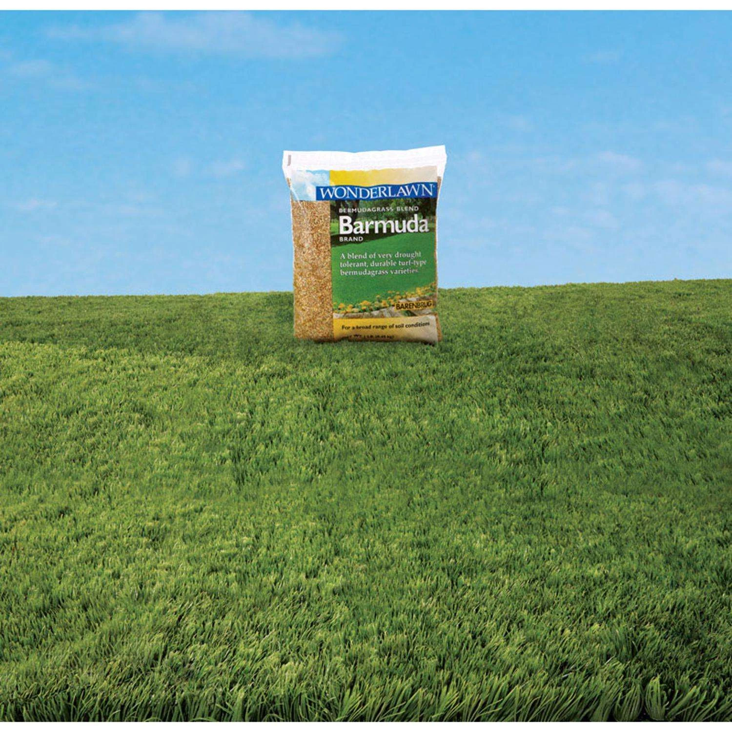Barenbrug Wonderlawn Bermuda Grass Full Sun Grass Seed 1 Lb 2 Barenbrug Wonderlawn Bermuda Grass Full Sun Grass Seed 1 Lb - Image 2