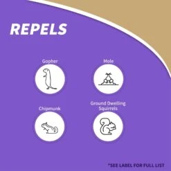 Bonide MoleMax Animal Repellent Stake For Gophers And Moles -Roundup Hub fa87e341 67d3 4983 9e3d 4423393f7b11