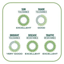 Pennington Smart Patch Tall Fescue Grass Sun Or Shade Seed/Fertilizer/Mulch Repair Kit 10 Lb 18 Pennington Smart Patch Tall Fescue Grass Sun Or Shade Seed/Fertilizer/Mulch Repair Kit 10 Lb -Roundup Hub fd14c856 46da 4274 bab6 18ed1b4a8f07