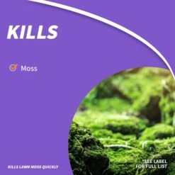 Bonide Mossmax Moss Killer Granules 6 Lb 12 Bonide Mossmax Moss Killer Granules 6 Lb -Roundup Hub fdb41acd 64a3 42c3 a0f1 c9711c056bad