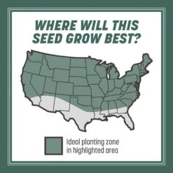 Pennington Kentucky 31 Tall Fescue Grass Sun Or Shade Grass Seed 20 Lb -Roundup Hub fe77ac2d e60d 4c25 9703 55955d7235a5