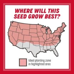 Pennington The Rebels Tall Fescue Grass Sun Or Shade Grass Seed 20 Lb -Roundup Hub ffc8e445 cb6f 40e6 a2c1 65c48ce6ab1c