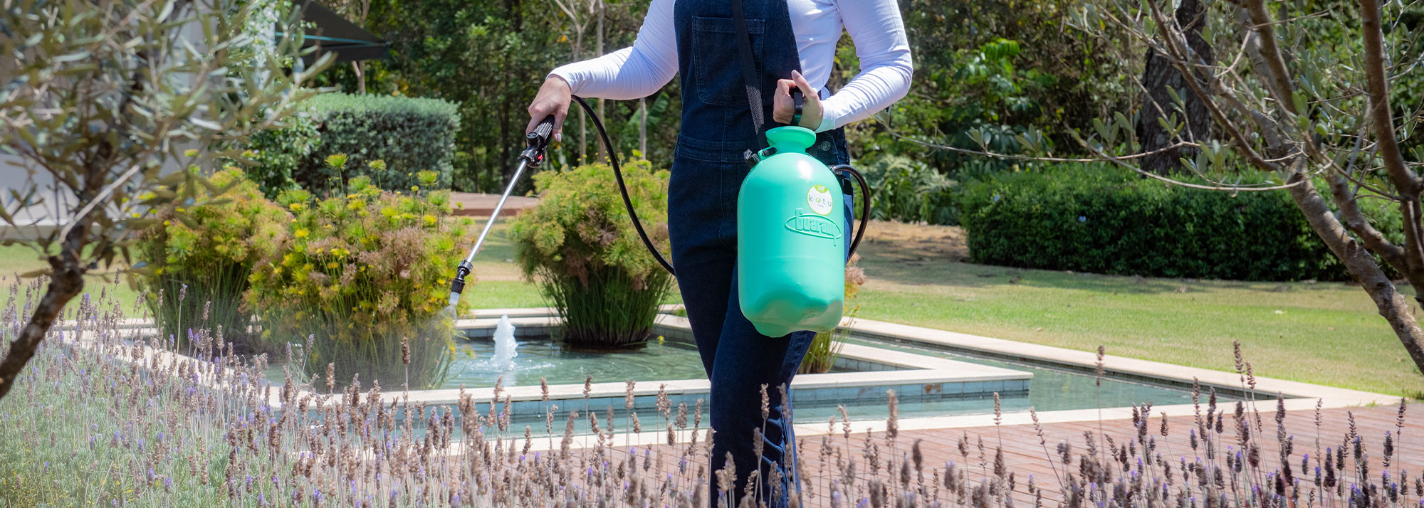 Roundup Hub -Roundup Hub katu application banner